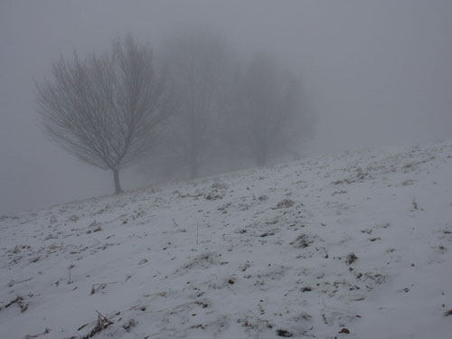 Foto Poiana Plestioara in ceata (c) Petru Goja